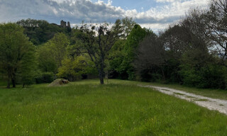 Photo N° 3