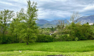 Photo N° 5