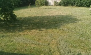 Photo N° 4