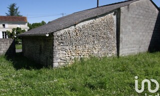 Photo N° 5