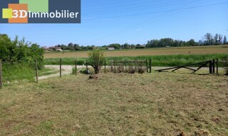 Photo N° 5