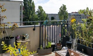 Photo N° 5