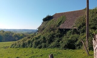 Photo N° 6
