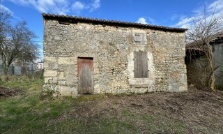 Photo N° 5