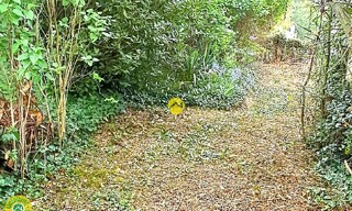 Photo N° 4