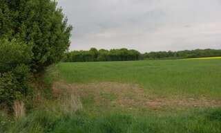 Maison  2924 m² à vendre à Courtemaux (45320)