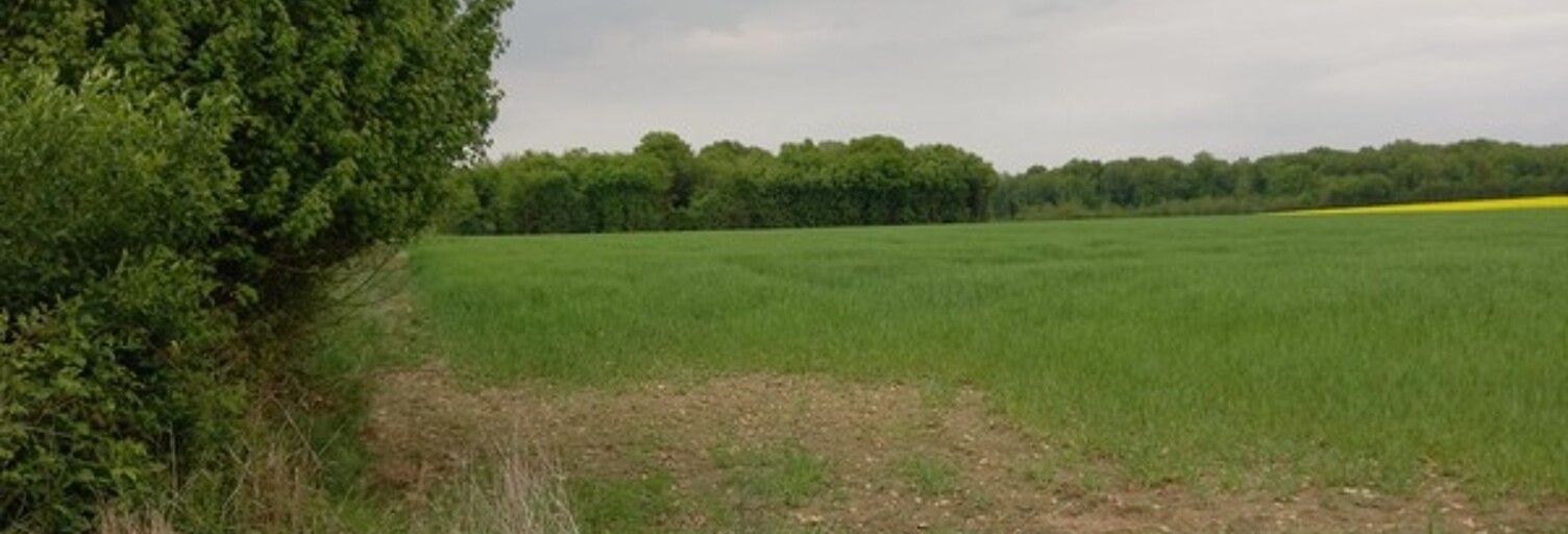 Maison  2924 m² à vendre à Courtemaux (45320)