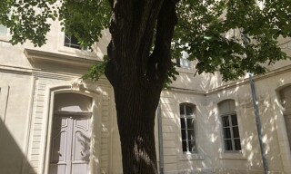 Appartement 2 Pièces 55 m² à louer à Avignon (84000)