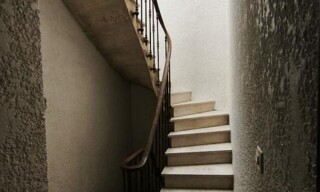Photo N° 6