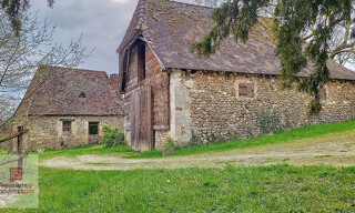 Photo N° 15