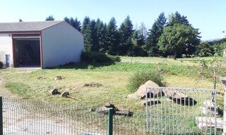 Photo N° 3