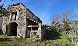 Photo N° 4