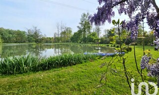Photo N° 6