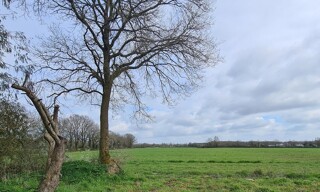 Maison 4 Pièces 107 m² à vendre à Challans (85300)