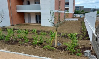 Appartement 3 Pièces 72 m² à louer à Colomiers (31770)