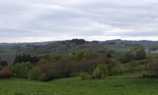 Photo N° 5