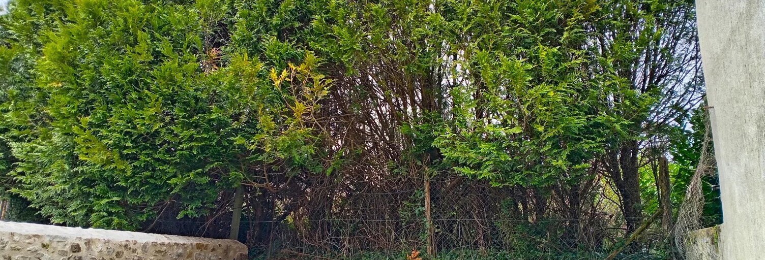 Maison 4 Pièces  m² à vendre à Magnac-Laval (87190)