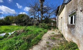 Photo N° 6