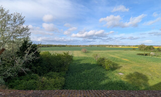 Photo N° 6