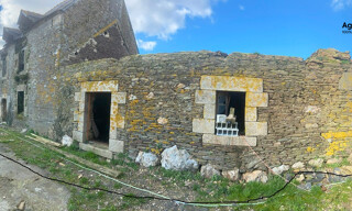 Photo N° 4