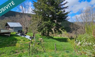 Photo N° 6
