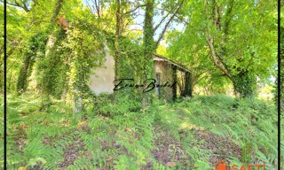 Photo N° 3