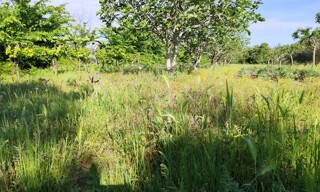 Terrain  4980 m² à vendre à Montagnac (34530)