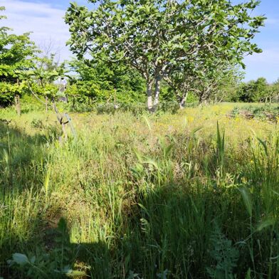 Terrain  58000 €