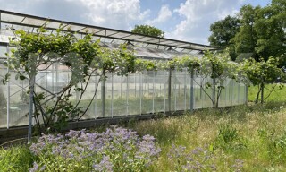Maison 6 Pièces 150 m² à vendre à Oudon (44521)