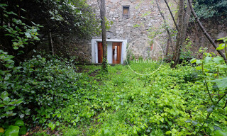 Photo N° 6