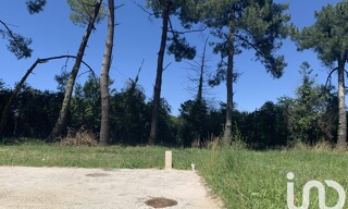 Photo N° 4
