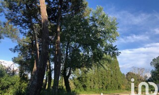 Photo N° 5