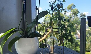 Photo N° 3