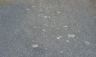 Photo N° 6