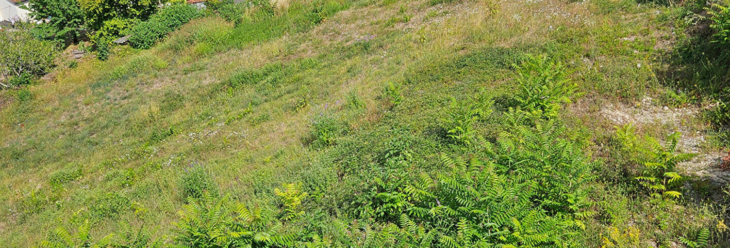 Terrain  350 m² à vendre à Angoulême (16000)