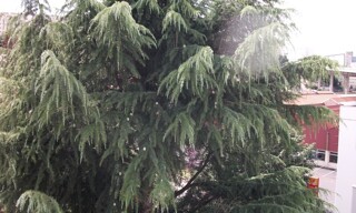 Photo N° 5