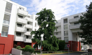 Photo N° 6