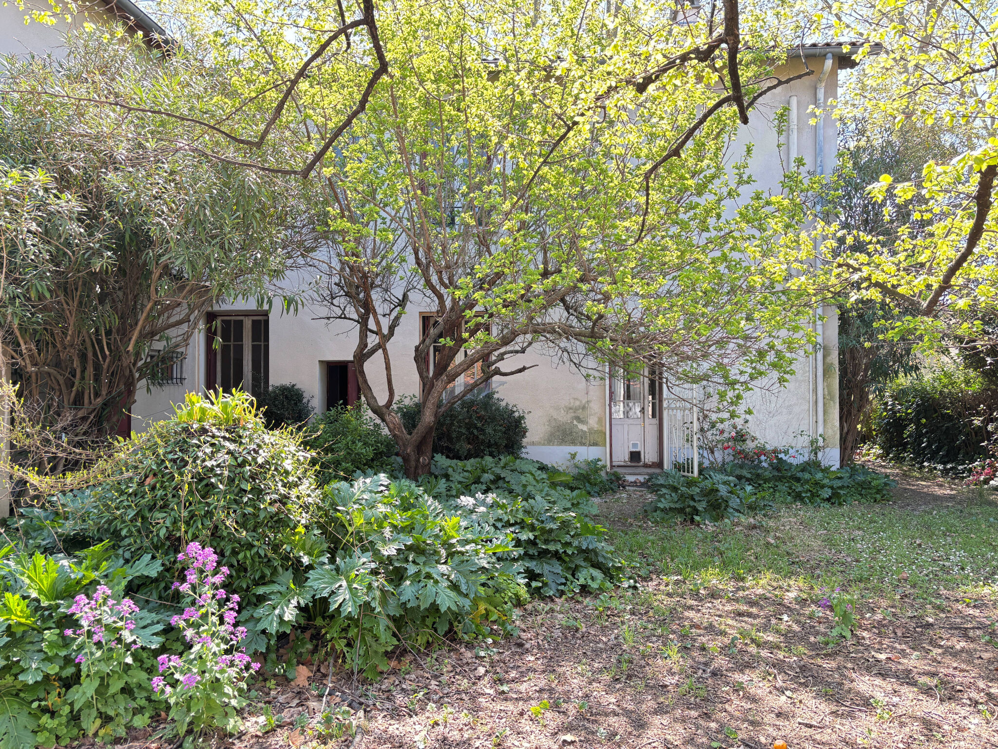 Immeuble 10 pièces  à vendre Montpellier 34000