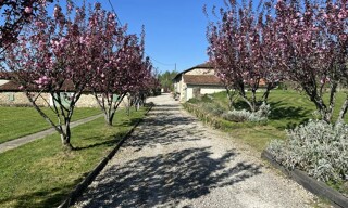 Photo N° 5