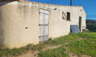 Photo N° 3