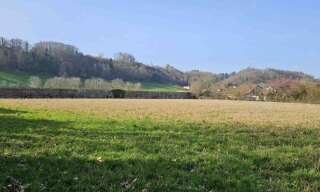 Photo N° 9