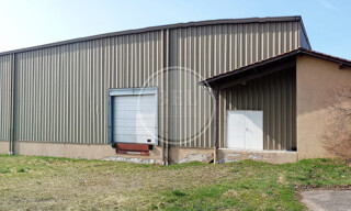 Photo N° 4