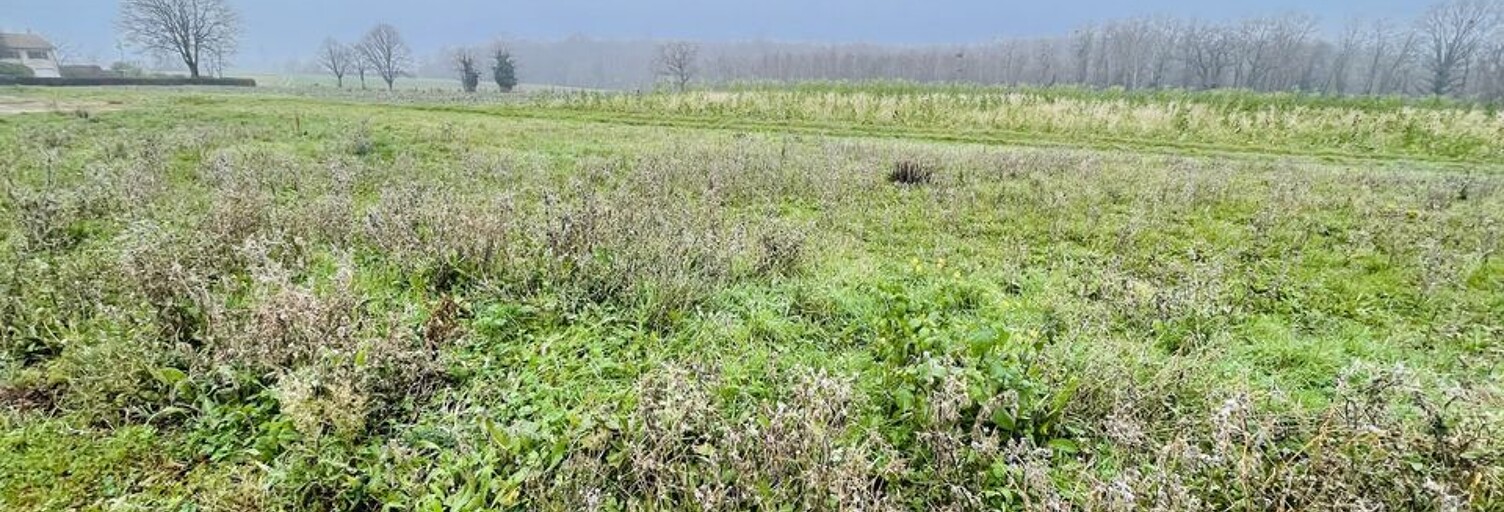 Terrain  650 m² à vendre à Viré (71260)