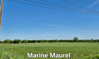 Photo N° 3