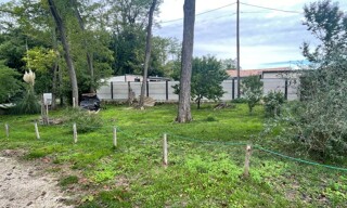 Terrain  600 m² à vendre à Noaillan (33730)