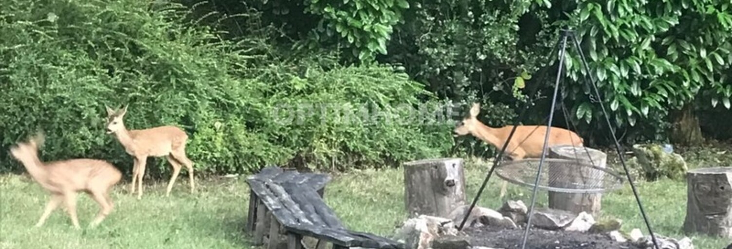 Maison 3 Pièces 42 m² à vendre à Saint-Chéron (91530)