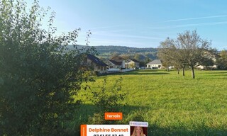 Photo N° 4