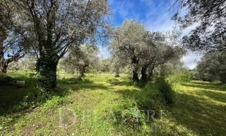 Terrain  10000 m² à vendre à Opio (06650)