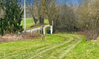 Photo N° 3
