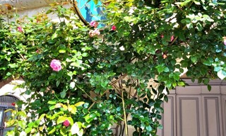 Photo N° 3
